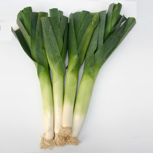 Hạt giống tỏi tây - Ảnh 1